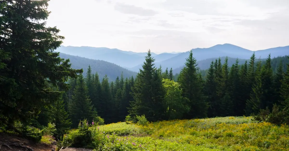 Astuces pratiques pour un voyage d'aventure en pleine nature