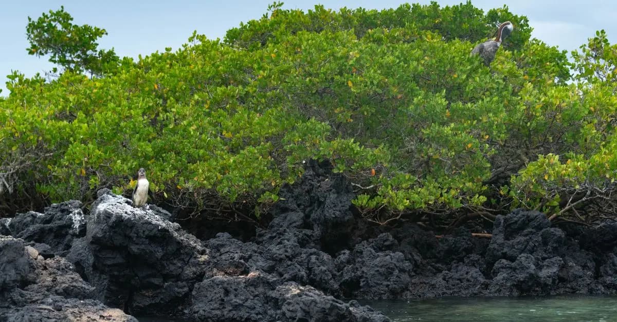 Les meilleures destinations pour un voyage d'aventure inoubliable