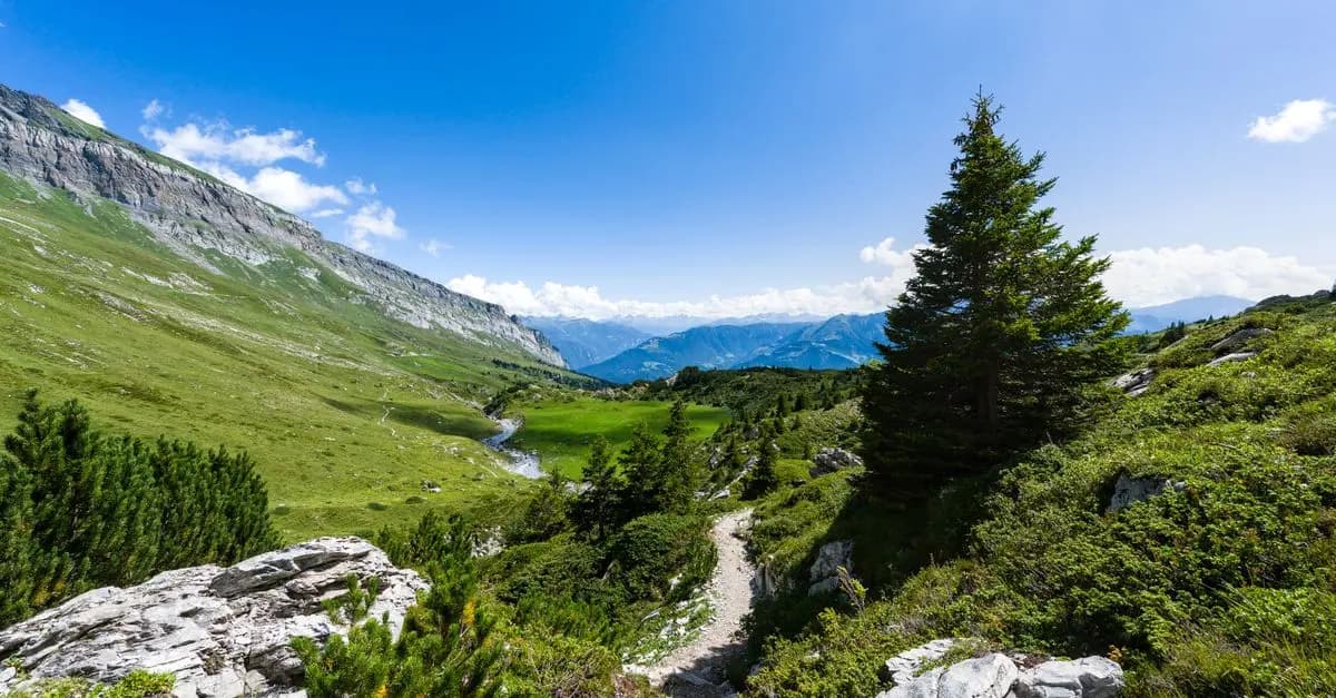 Les meilleures astuces pour un voyage d'aventure réussi
