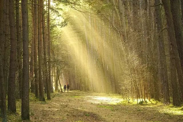 Les astuces essentielles pour une aventure en pleine nature