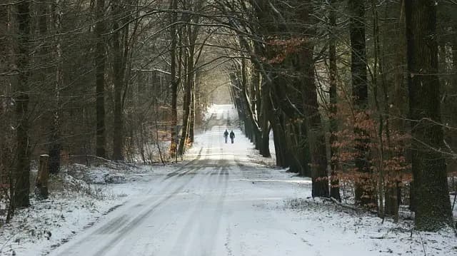 Les indispensables pour vivre une aventure réussie