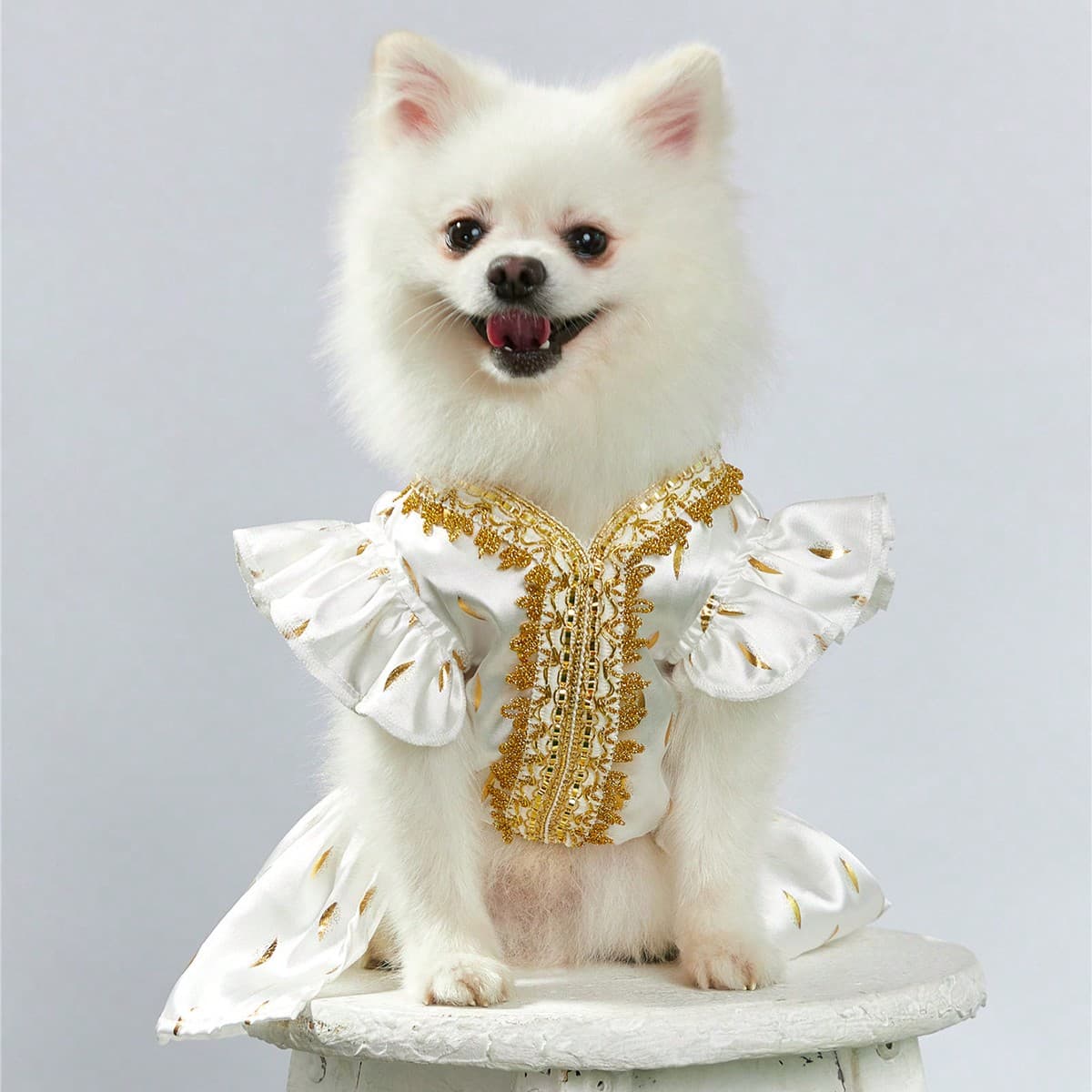 Robe Pour Animal De Compagnie En Satin Imprimé À Feuilles D'or Avec Garniture En Dentelle Délicate, Vêtements Glamours Adaptés Aux Chats Et Aux