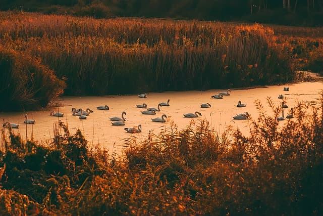 Les 10 meilleures destinations de voyage d'aventure à découvrir