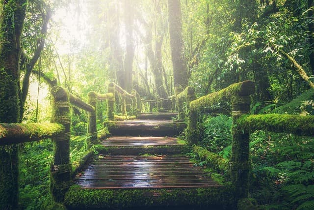 Le guide ultime pour un voyage d'aventure écoresponsable